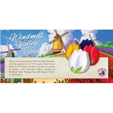 Windmill Tulips