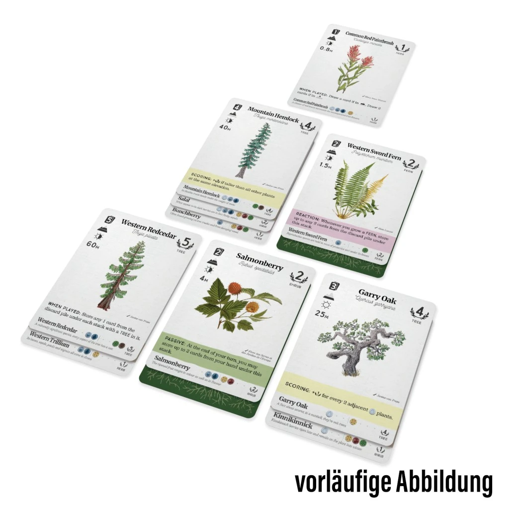 Reforest - DE