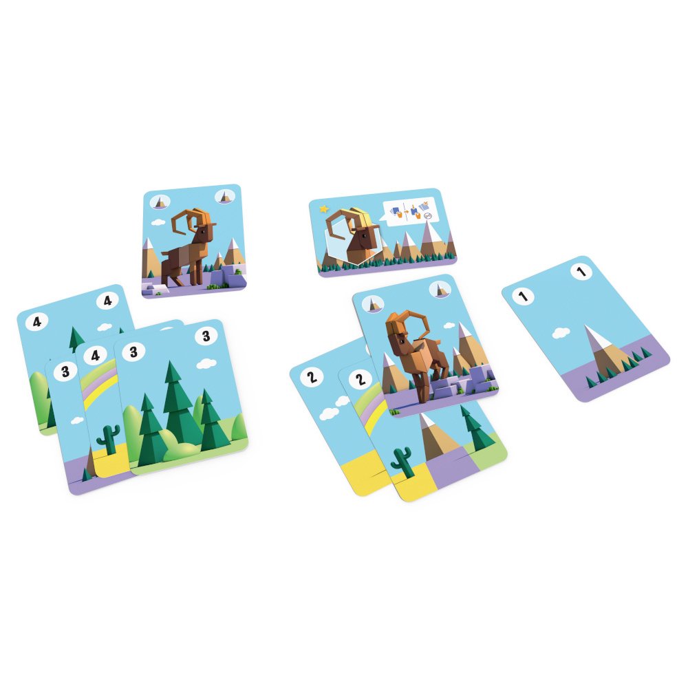 Wild cards - DE