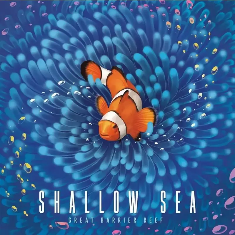 Shallow Sea Brettspiel mit bunten Fischen, Korallen und Meerestieren zum Gestalten einer mehrschichtigen Unterwasserlandschaft