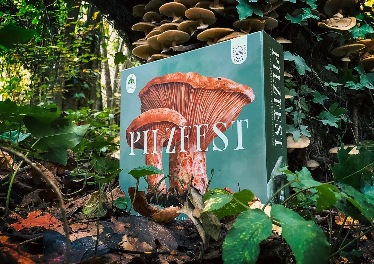 Pilzfest - DE