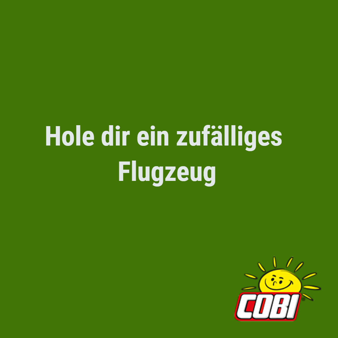 Cobi mystery pack Flugzeug