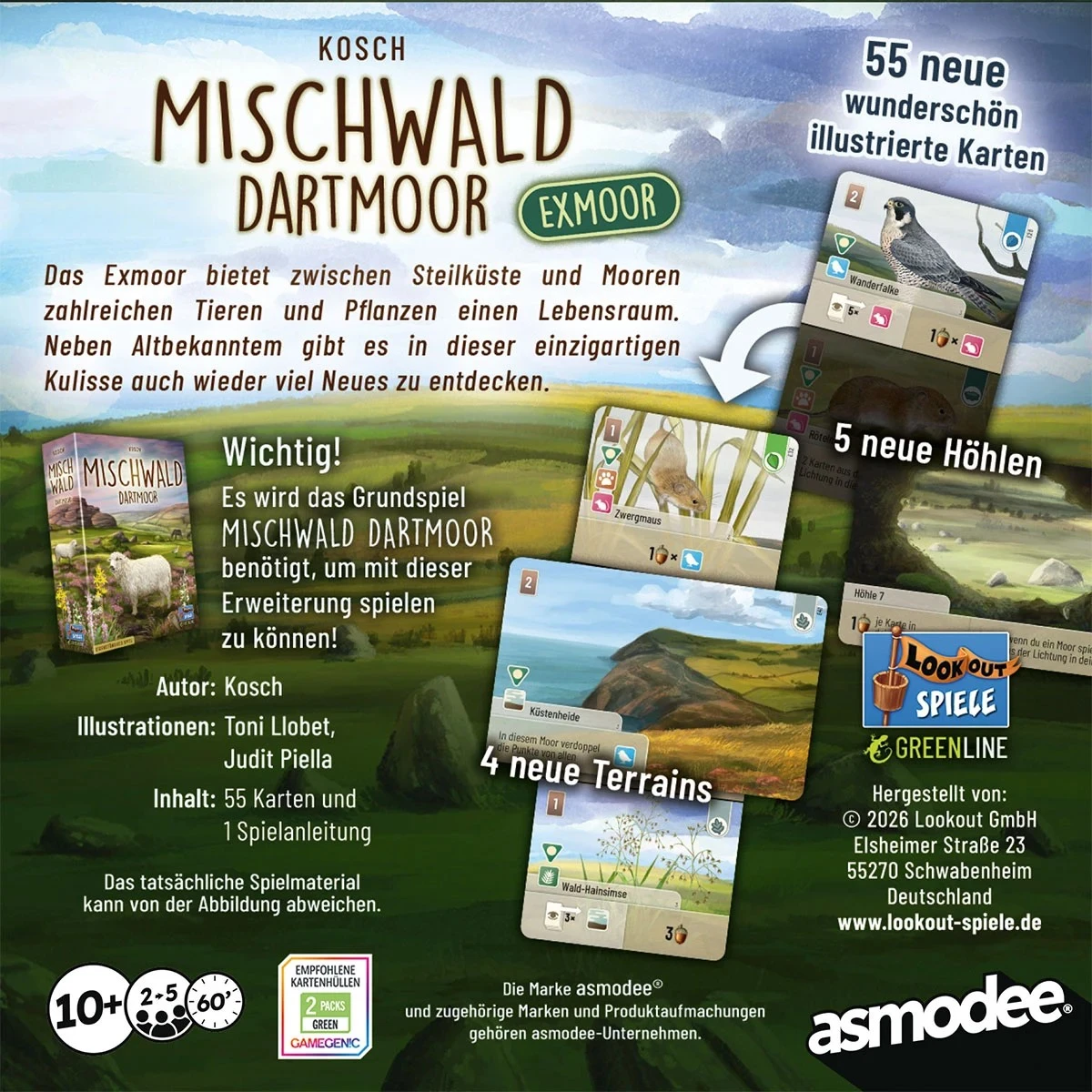 Mischwald: Dartmoor: Exmoor - DE